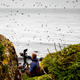 Ian Shive documents seabirds.
